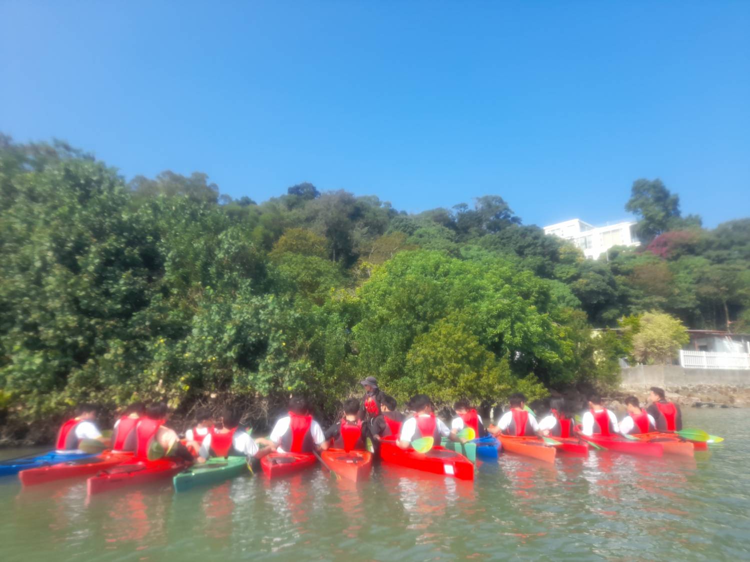红树林小白鹭独木舟探险 (半日)